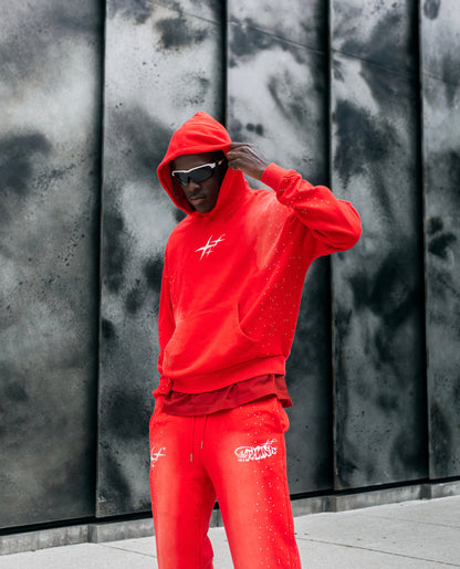 (Cherry) “Star” Washed Hoodie